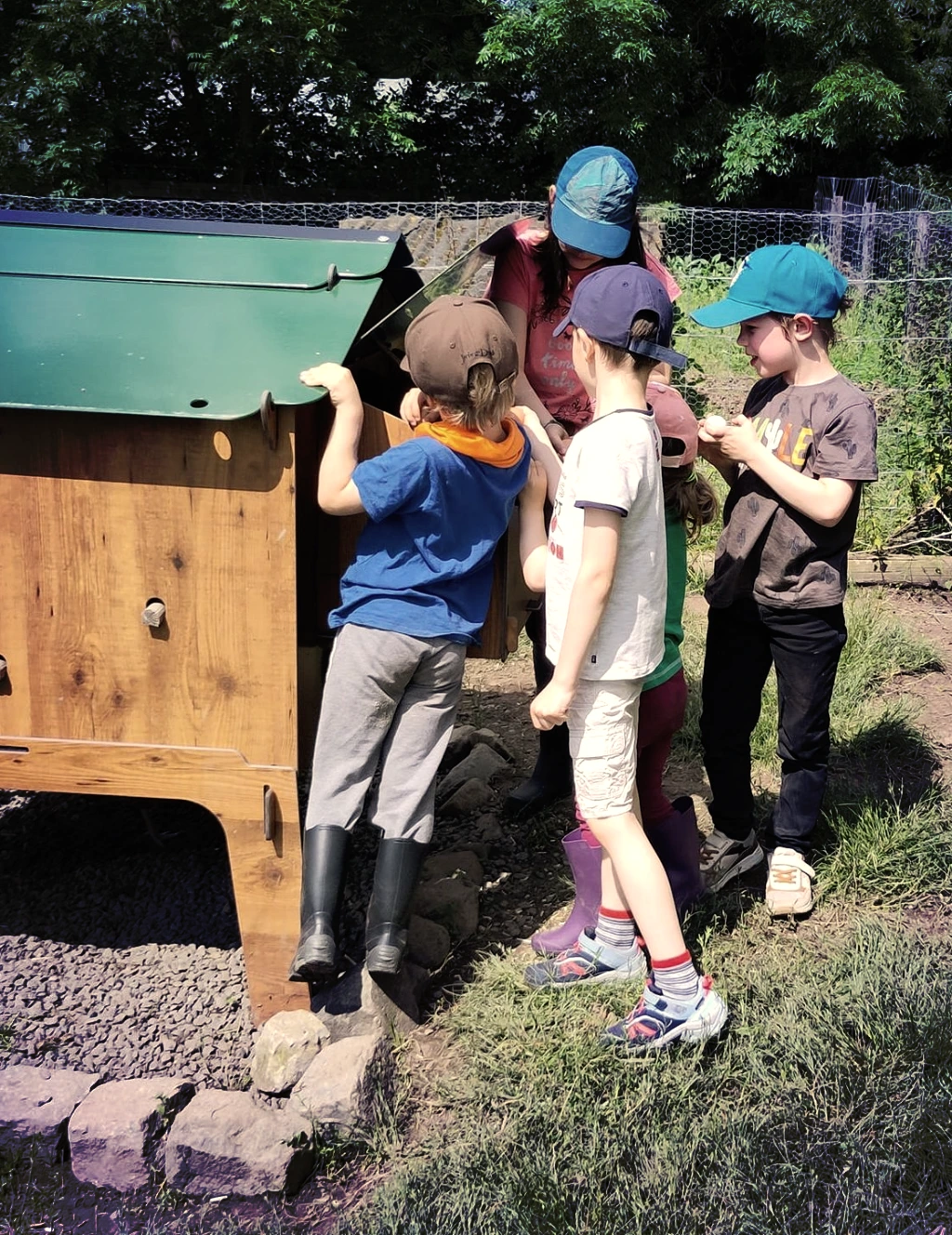 Les enfants soignent les animaux