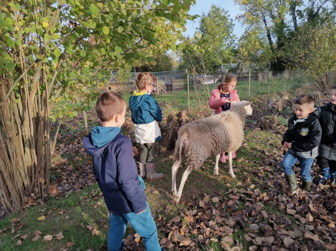 Des élèves qui prennent soin des animaux.